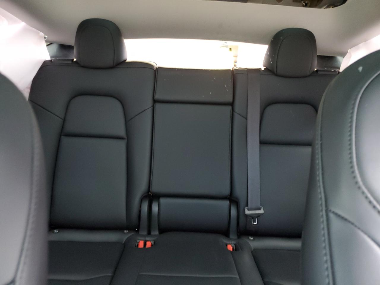 2023 TESLA MODEL Y  VIN:7SAYGDEE5PF788055