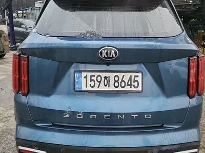 2021 Kia Sorento KNARL81BGMA059439 VIN:KNARL81BGMA059439