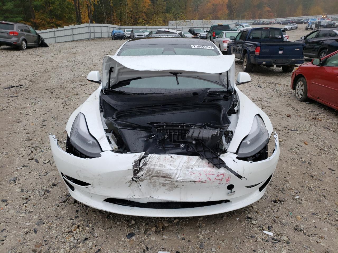 2023 TESLA MODEL 3  VIN:5YJ3E1EA9PF691451