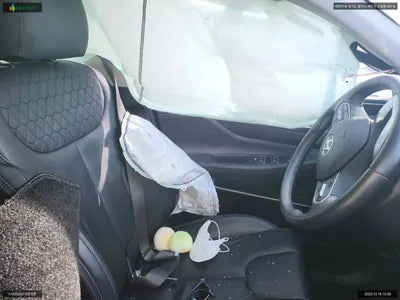 2019 Hyundai Santa FE KMHS381ABKU177949 VIN:KMHS381ABKU177949