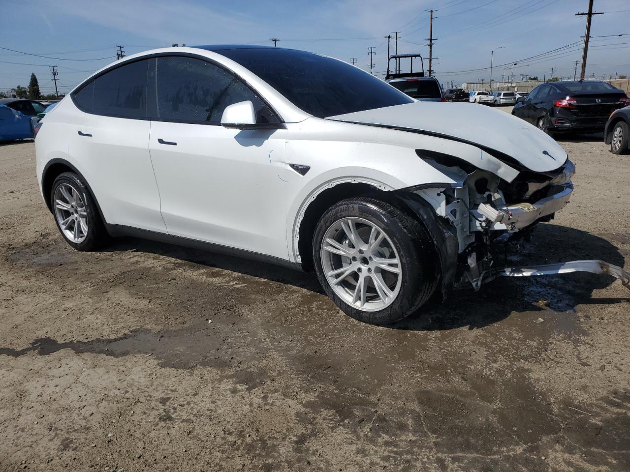 2024 TESLA MODEL Y  VIN:7SAYGDED8RF047909