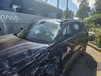 2019 Hyundai Santa FE KMHS381CBKU167269 VIN:KMHS381CBKU167269