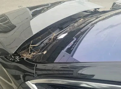 2021 Mercedes-Benz S 580 W1K6G7GB5MA063834 VIN:W1K6G7GB5MA063834