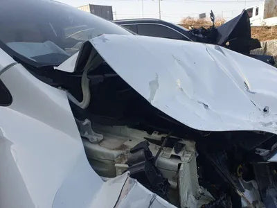 2019 Kia Carnival KNAMB81ABKS556683 VIN:KNAMB81ABKS556683