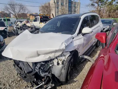 2019 Hyundai Santa FE KMHS381ADLU216986 VIN:KMHS381ADLU216986