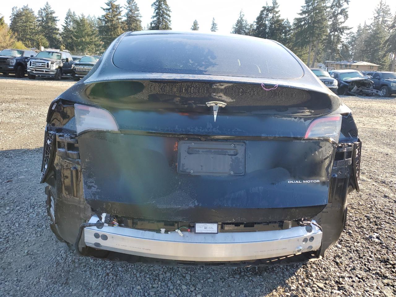 2023 TESLA MODEL Y  VIN:7SAYGDEE0PF625510