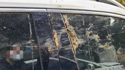 2021 Mercedes-Benz B 250 W1N4M4HB4MW101928 VIN:W1N4M4HB4MW101928