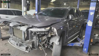 2019 Hyundai Santa FE KMHS281BBLU216193 VIN:KMHS281BBLU216193