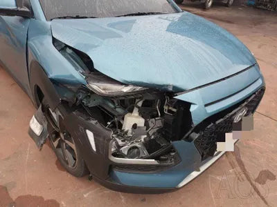 2018 Hyundai Kona KMHK4815HJU173960 VIN:KMHK4815HJU173960