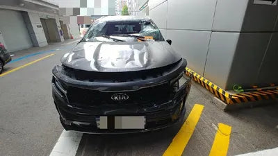2020 Kia Sorento KNARG81BGMA017381 VIN:KNARG81BGMA017381