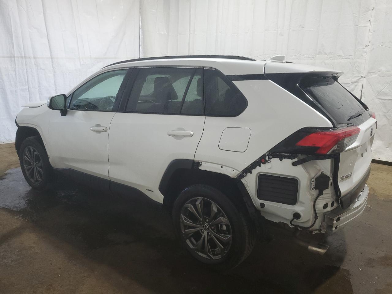 2024 TOYOTA RAV4 XLE PREMIUM VIN:4T3B6RFVXRU147496