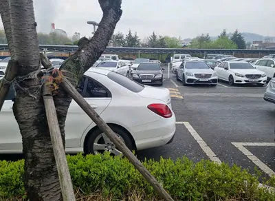 2017 Mercedes-Benz C 200 WDDWF3HB0HR253655 VIN:WDDWF3HB0HR253655