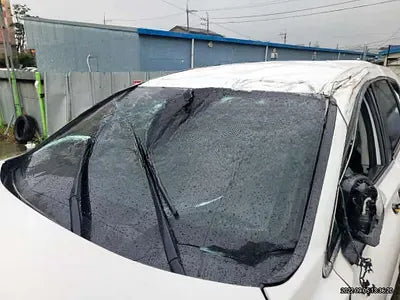 2021 Hyundai Santa FE KMHS281HGMU311253 VIN:KMHS281HGMU311253