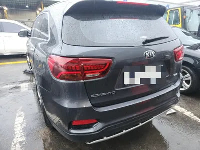 2019 Kia Sorento KNAPS81BBKA545743 VIN:KNAPS81BBKA545743