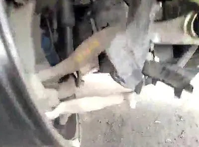 2021 BMW 520 WBA11BH08MCF90583 VIN:WBA11BH08MCF90583