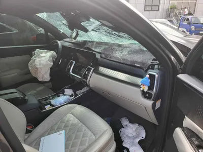 2020 Kia Sorento KNARG81GBMA017175 VIN:KNARG81GBMA017175
