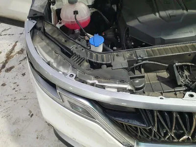 2020 Kia Carnival KNANB81BBMS024261 VIN:KNANB81BBMS024261