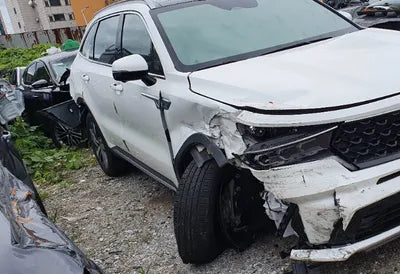 2021 Kia Sorento KNARG81GBMA002202 VIN:KNARG81GBMA002202