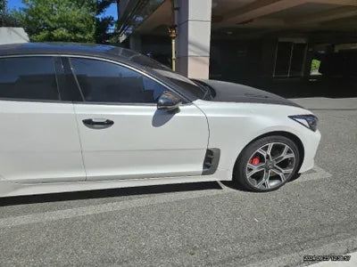 2019 Kia Stinger VIN: