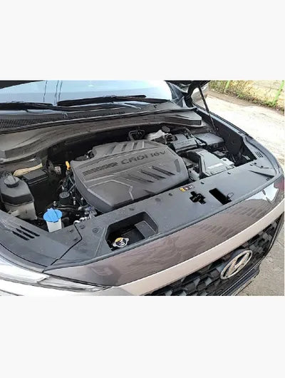 2019 Hyundai Santa FE KMHS281BBKU138593 VIN:KMHS281BBKU138593
