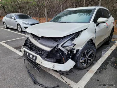 2022 Kia Sportage KNAPW81GBNK029785 VIN:KNAPW81GBNK029785