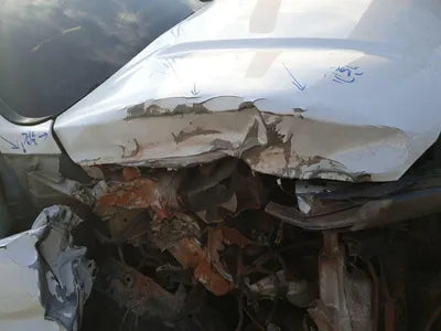 2019 Hyundai Santa FE KMHS581CDKU124309 VIN:KMHS581CDKU124309