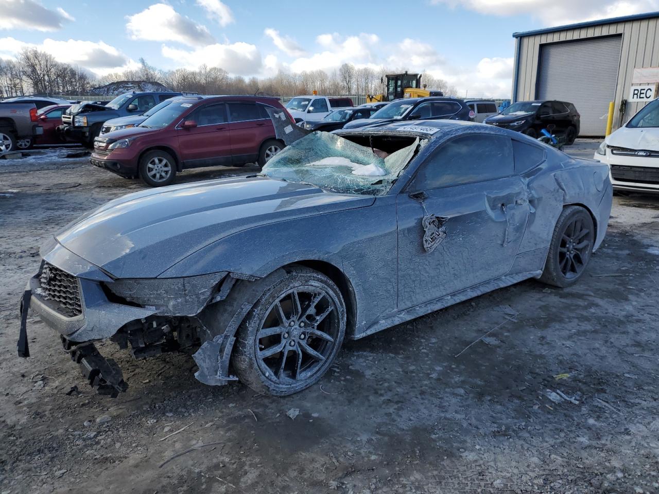 2024 FORD MUSTANG  VIN:1FA6P8TH6R5110367