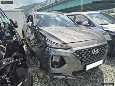2019 Hyundai Santa FE KMHS581BDKU176768 VIN:KMHS581BDKU176768