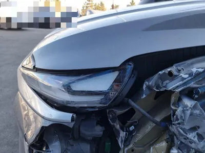 2018 Hyundai Santa FE KMHS281BBKU125996 VIN:KMHS281BBKU125996