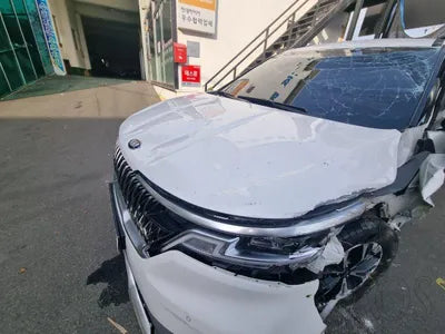 2020 Kia Carnival KNANC81BBMS015175 VIN:KNANC81BBMS015175