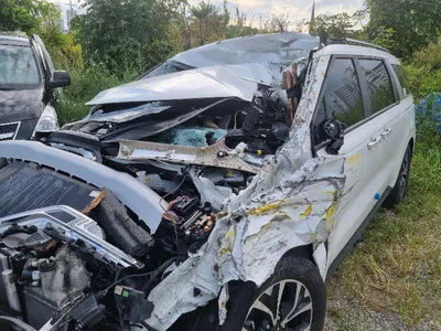 2021 Kia Carnival KNANB81BBMS069976 VIN:KNANB81BBMS069976