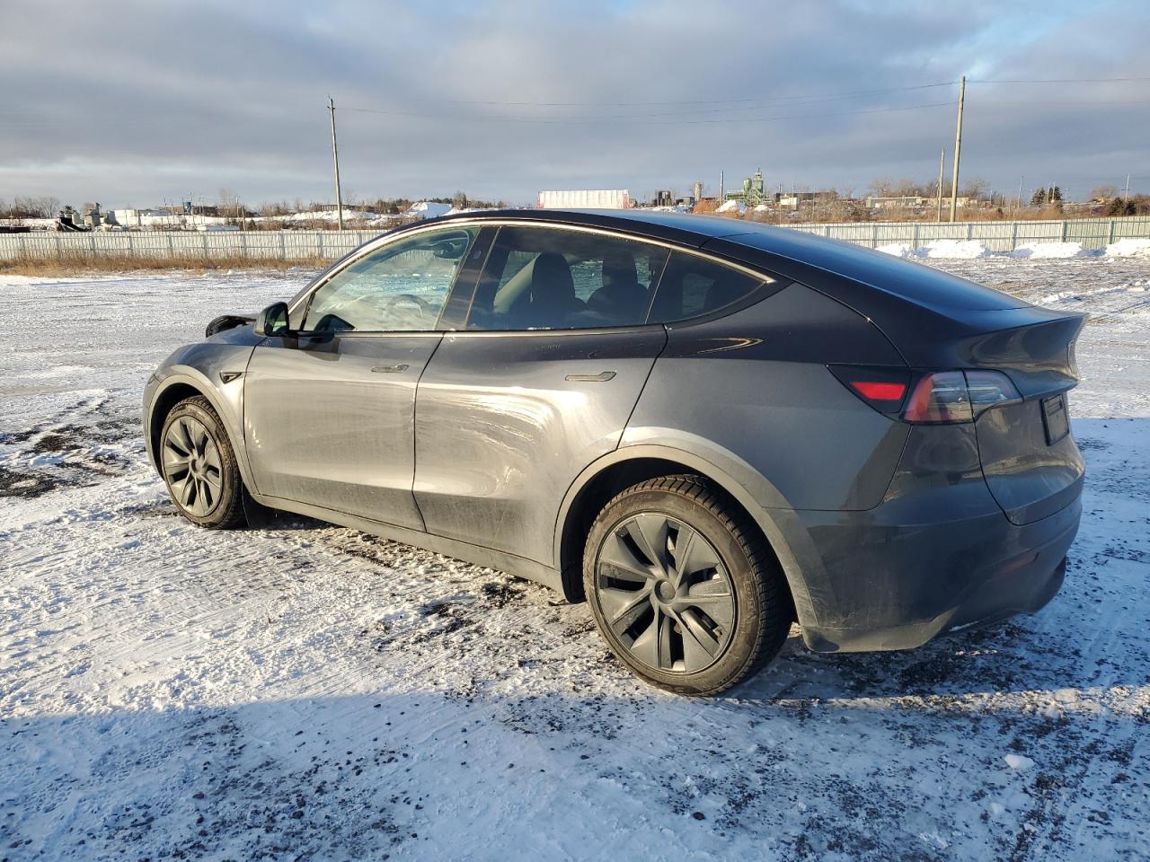 2024 TESLA MODEL Y  VIN:7SAYGDED5RF016181