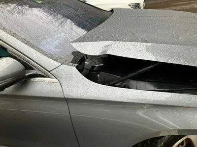 2017 Mercedes-Benz E 300 WDDZF4JB4HA038842 VIN:WDDZF4JB4HA038842