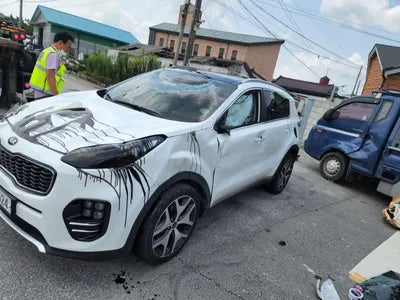 2016 Kia Sportage KNAPN813BGK171132 VIN:KNAPN813BGK171132
