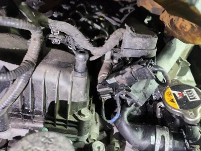 2020 Hyundai Santa FE 1KMHS281BBLU28875 VIN:1KMHS281BBLU28875