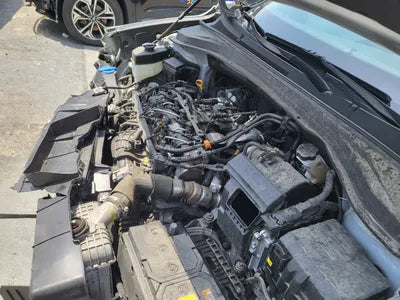 2020 Hyundai Santa FE KMHS281BDLU303838 VIN:KMHS281BDLU303838