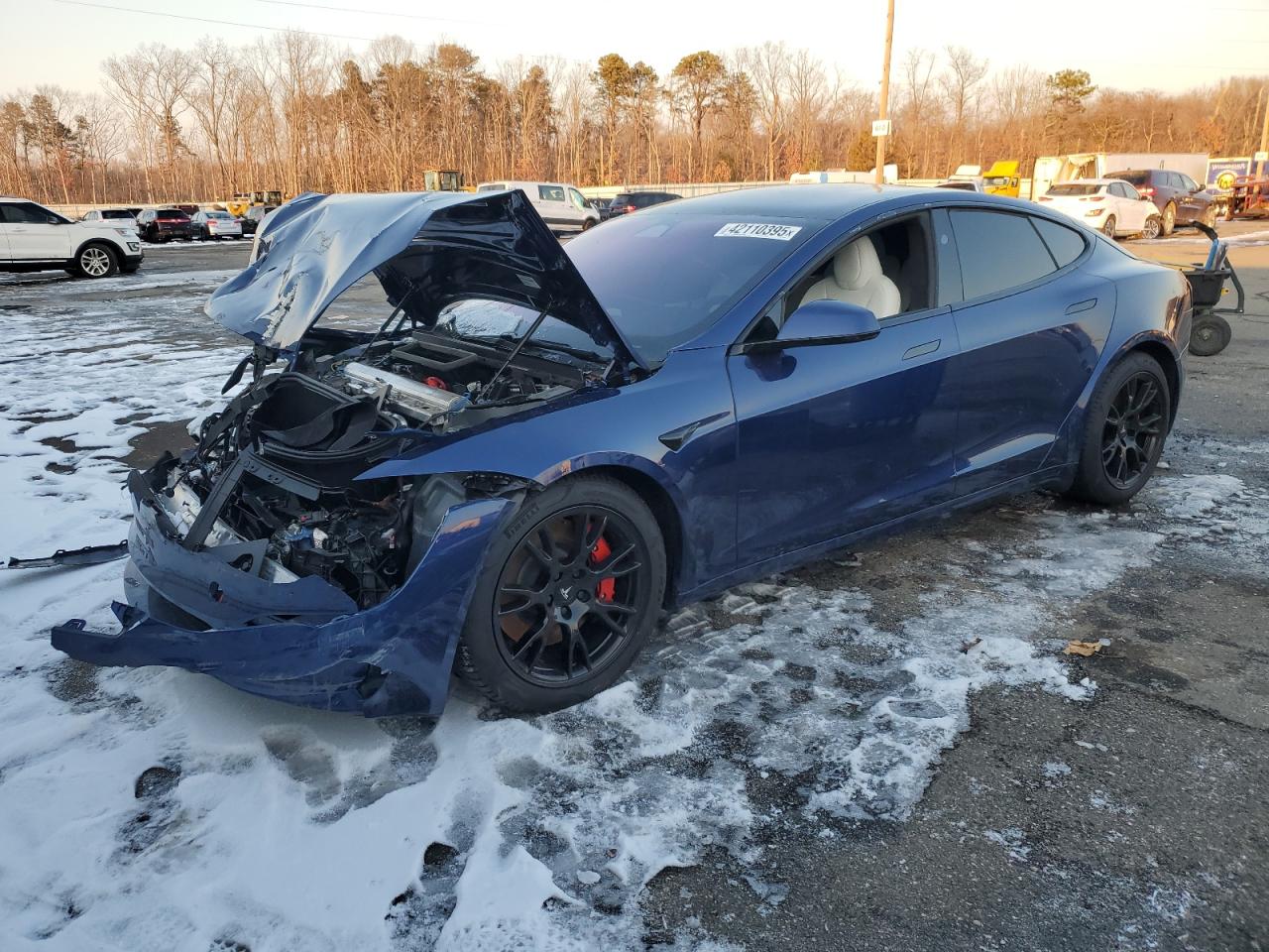 2023 TESLA MODEL S  VIN:5YJSA1E66PF511667
