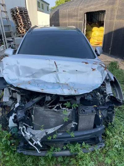 2016 Hyundai Santa FE KMHSW81UDGU698941 VIN:KMHSW81UDGU698941