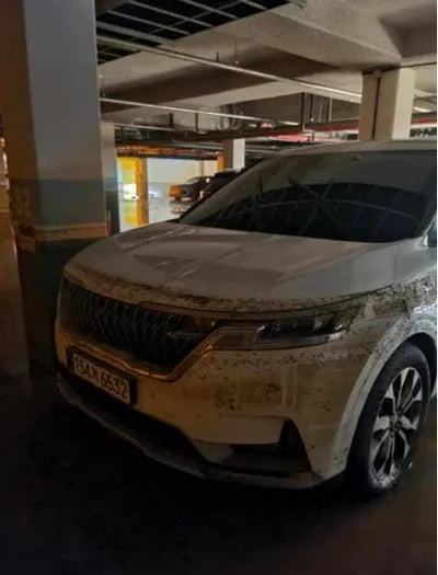 2022 Kia Carnival KNANE81BBPS230361 VIN:KNANE81BBPS230361