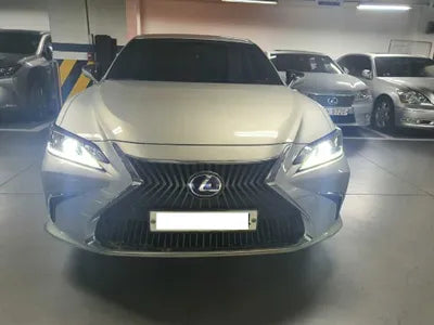 2021 Lexus ES 300 JTHBA1C19M2005366 VIN:JTHBA1C19M2005366