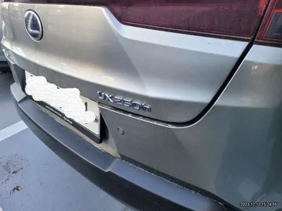 2019 Lexus UX 250 JTHY6JBH2K2001652 VIN:JTHY6JBH2K2001652
