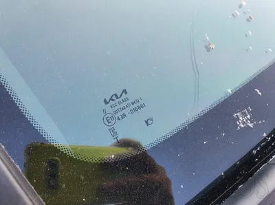2022 Kia Sportage KNAPX81CBNK011814 VIN:KNAPX81CBNK011814