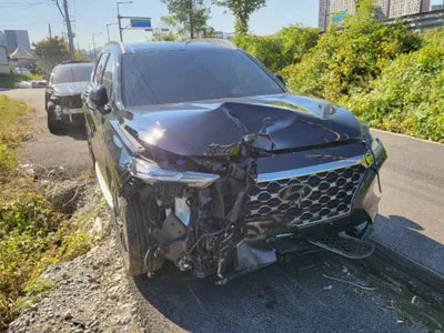 2019 Hyundai Santa FE 986KMKMHS381ABKU0 VIN:986KMKMHS381ABKU0