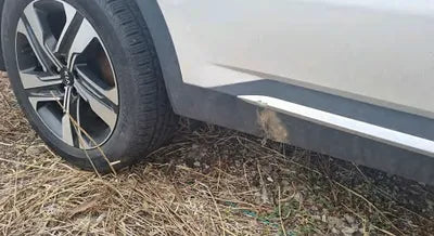 2021 Kia Sorento KNARH81GBMA021079 VIN:KNARH81GBMA021079