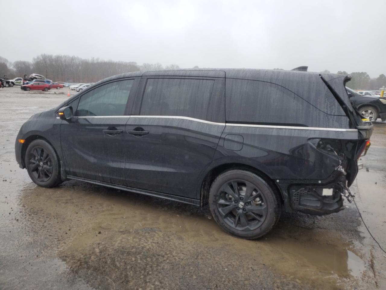 2024 HONDA ODYSSEY SPORT VIN:5FNRL6H72RB059777