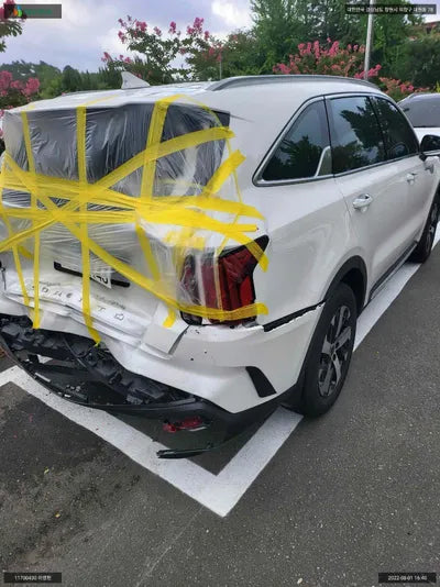 2021 Kia Sorento KNARM81FGNA124977 VIN:KNARM81FGNA124977