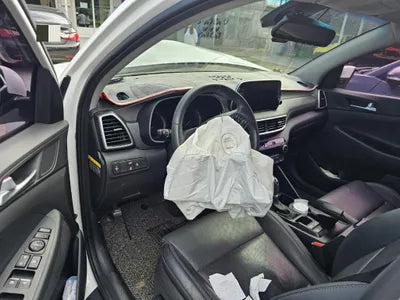 2019 Hyundai Tucson KMHJ581ADKU058096 VIN:KMHJ581ADKU058096