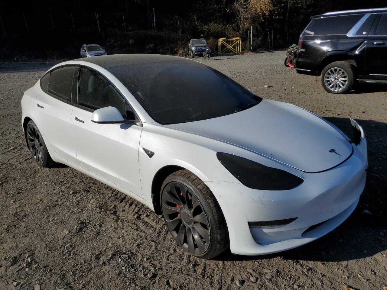 2023 TESLA MODEL 3  VIN:5YJ3E1EC9PF585681