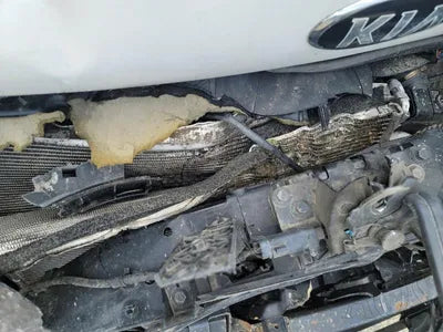 2020 Kia Carnival KNANC81BBMS004700 VIN:KNANC81BBMS004700