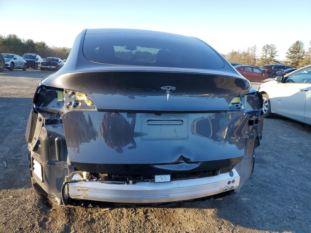2024 TESLA MODEL Y  VIN:7SAYGDED9RF092986